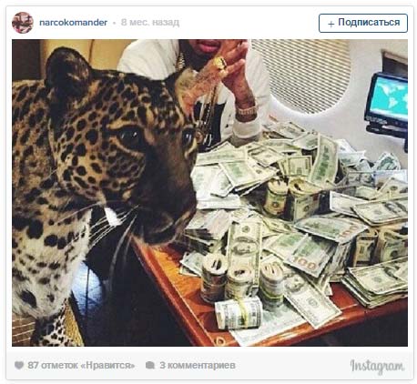 instagram - narcokomander instagram - narcokomander