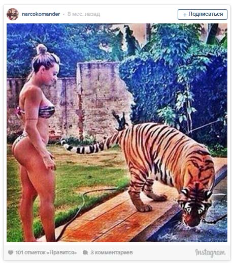 instagram - narcokomander instagram - narcokomander